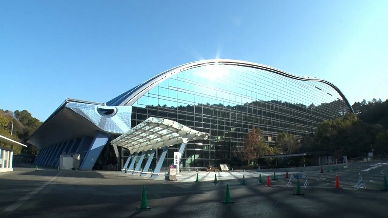 The Backyard backdrop