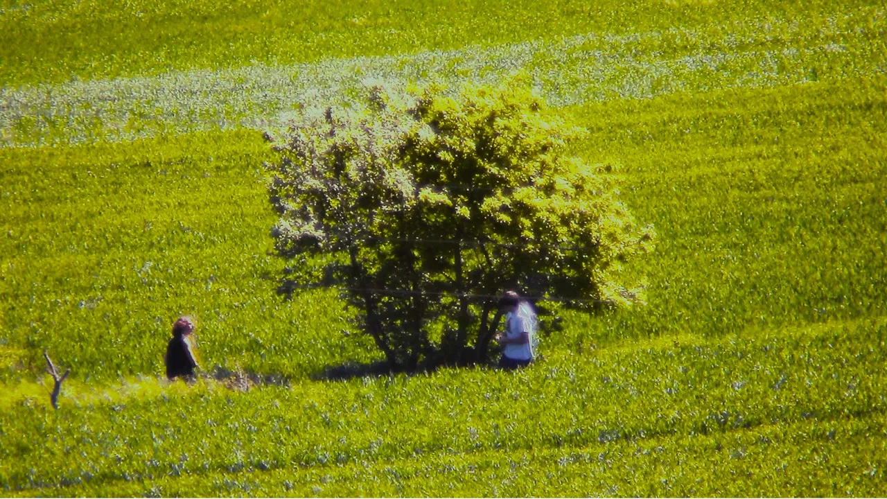 "Ta Gueule" backdrop