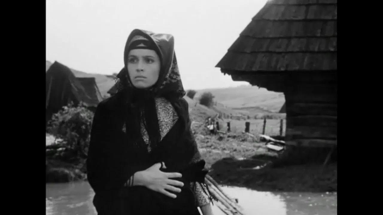 Living Whip backdrop