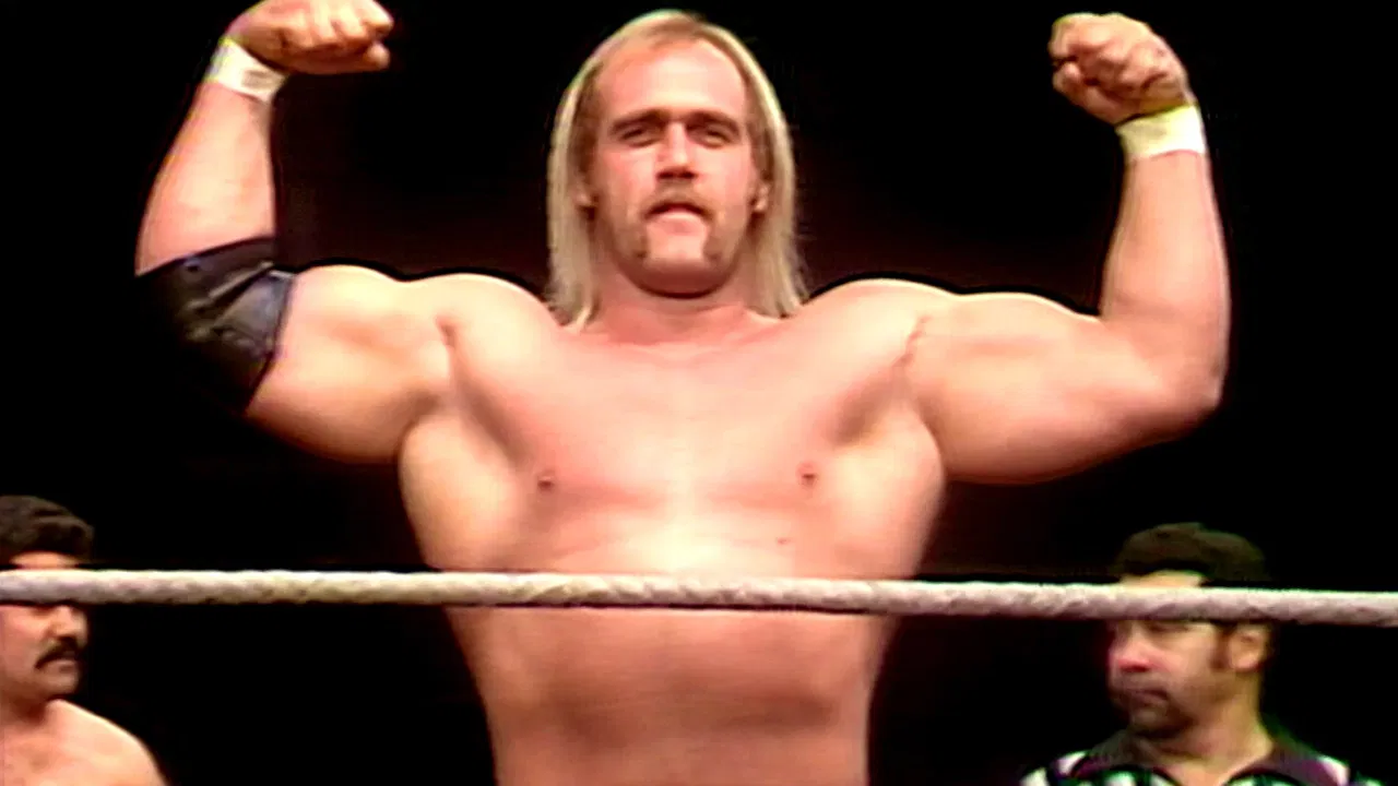 WWF All-Star Wrestling backdrop