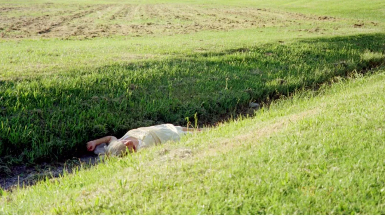 CUPID'S STUPID backdrop