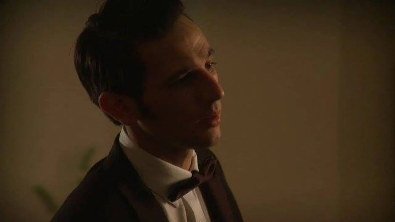 The Wedding Party backdrop