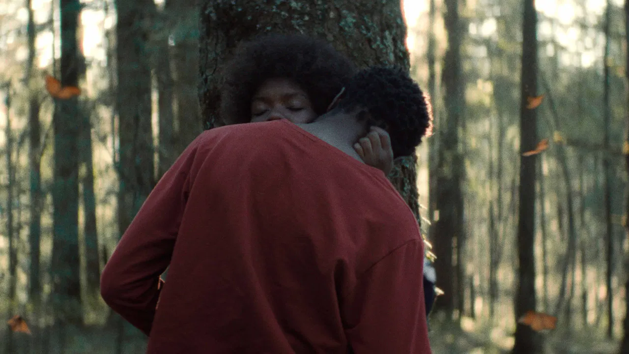 The Garden We Dreamed backdrop