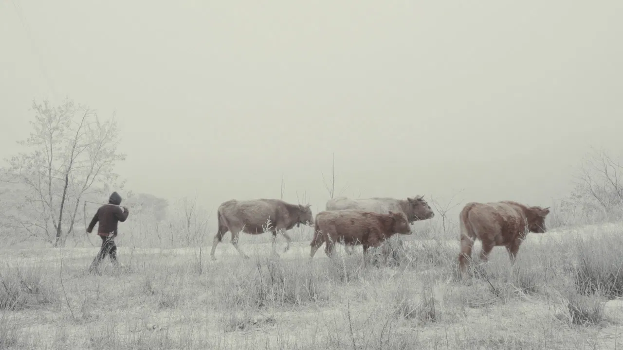 The Broken Ridge backdrop