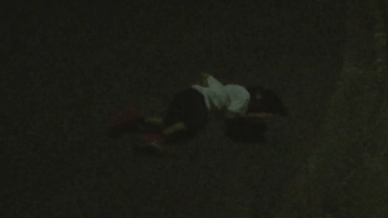 The Binge : a Short PSA backdrop