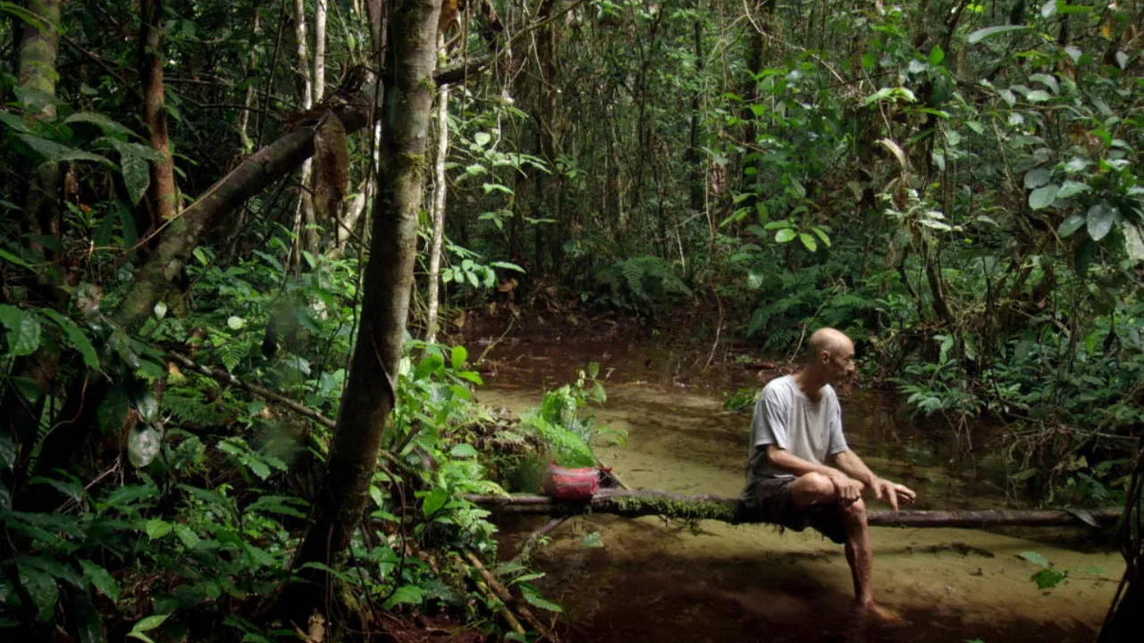 Song from the Forest backdrop