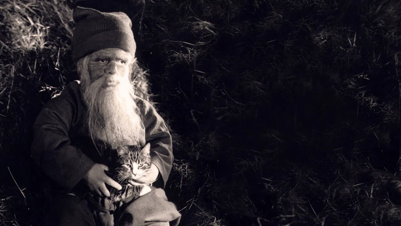 Tomten: A Winter Tale backdrop