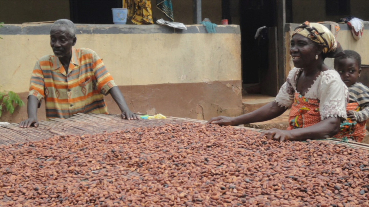 Doux-amer : cacao bio du Ghana backdrop