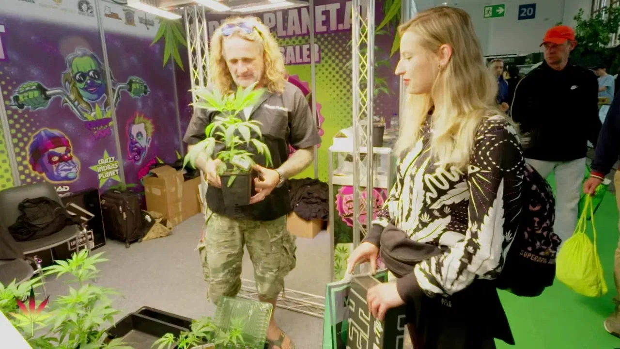 Bekifftes Deutschland – Zwischen Rausch und Realität backdrop