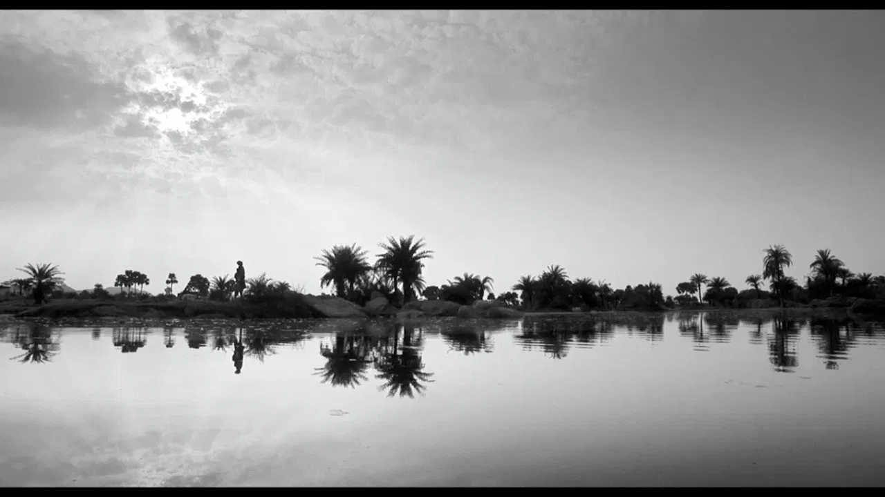 In the Name of Fire backdrop