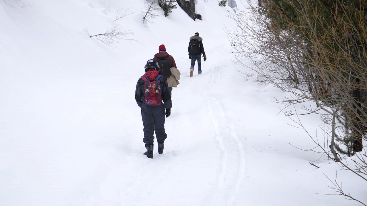 The Milky Way backdrop