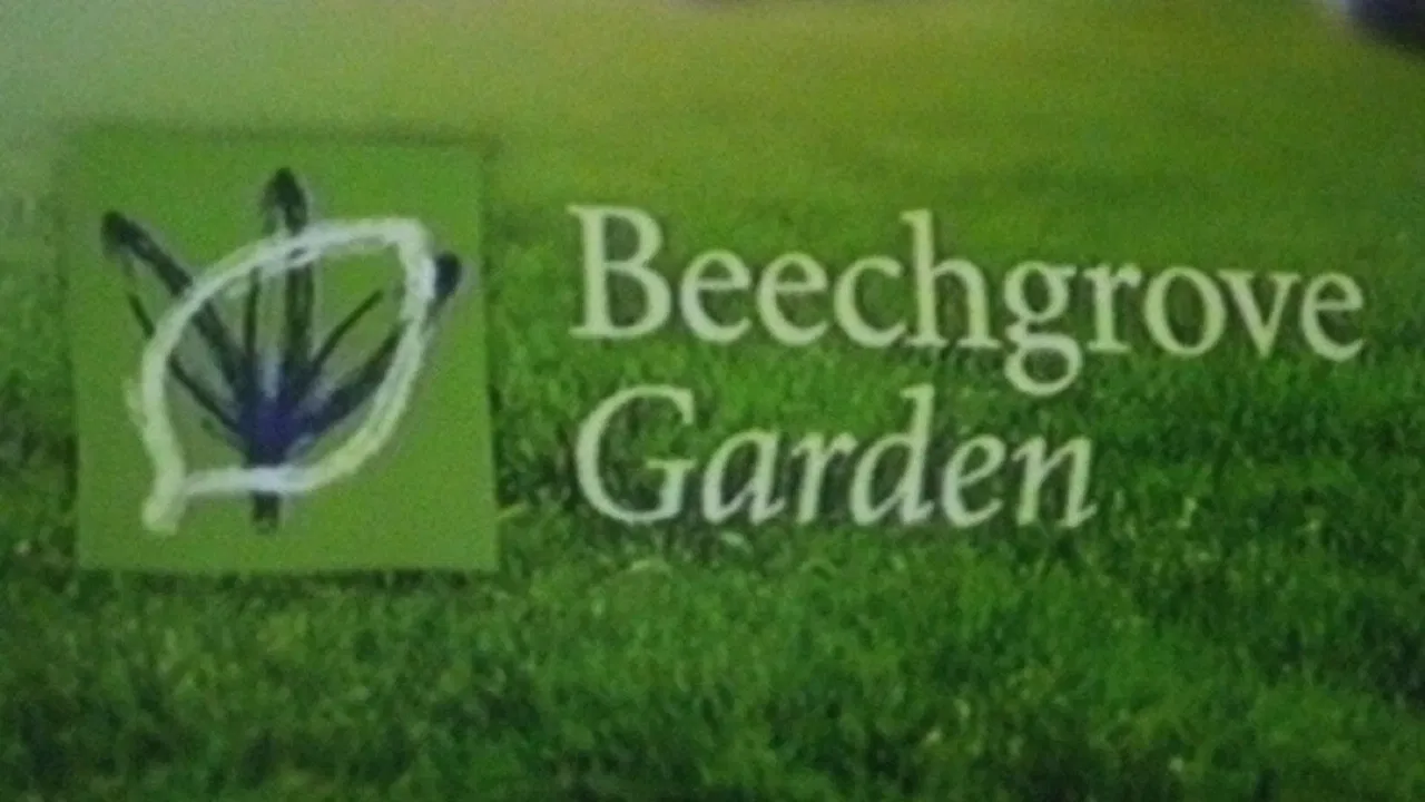 Beechgrove backdrop