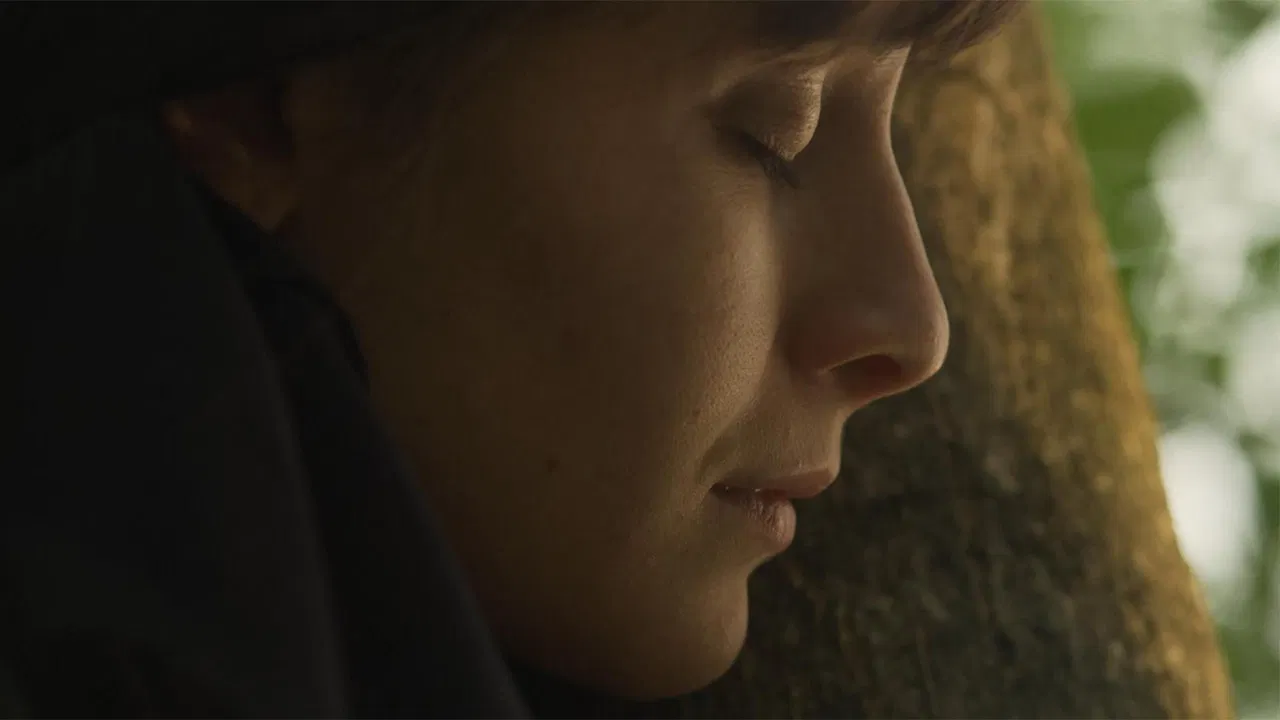 Nothing Really Happened backdrop