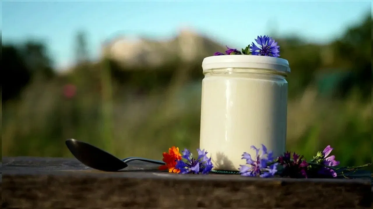 Coup de pot pour le yaourt backdrop