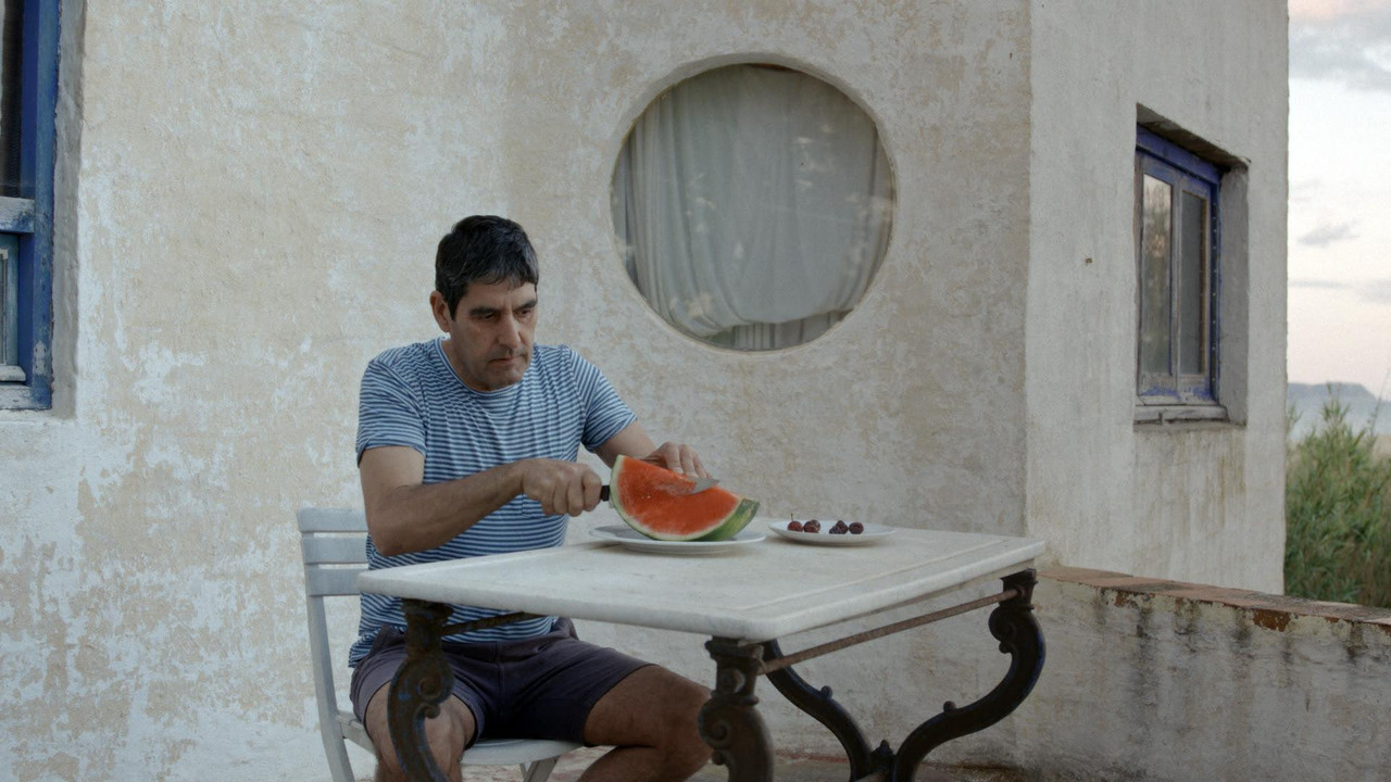 Ahora la luz cae vertical backdrop