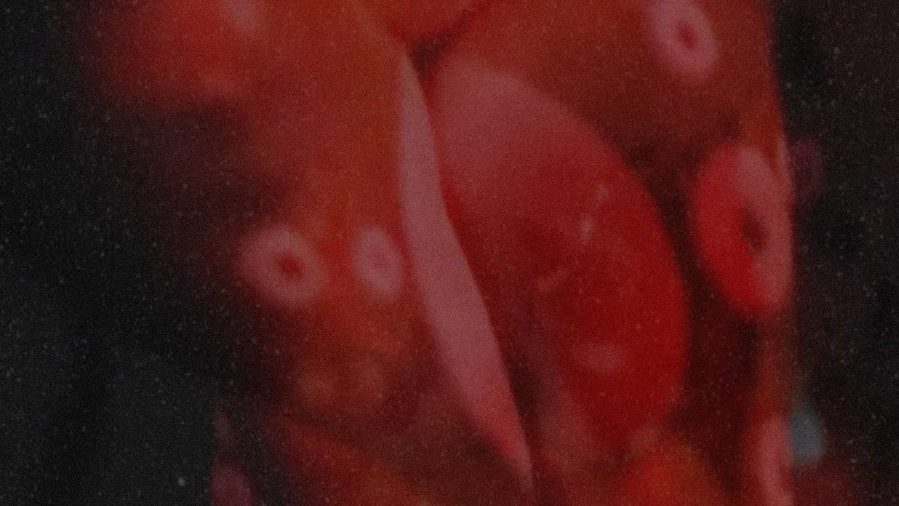 Is It A Plaisir backdrop