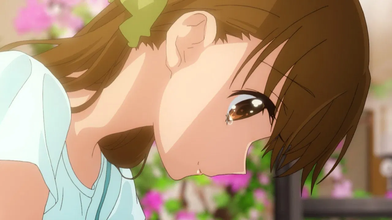 Tamayura: Graduation Photo Part 2 - Hibiki backdrop