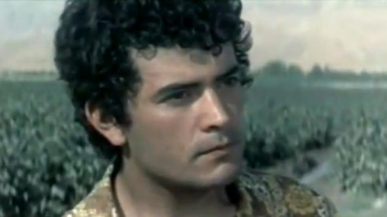 One Life is Not Enough backdrop