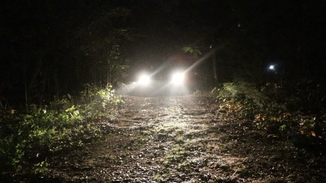 Harder to Cut Cold backdrop