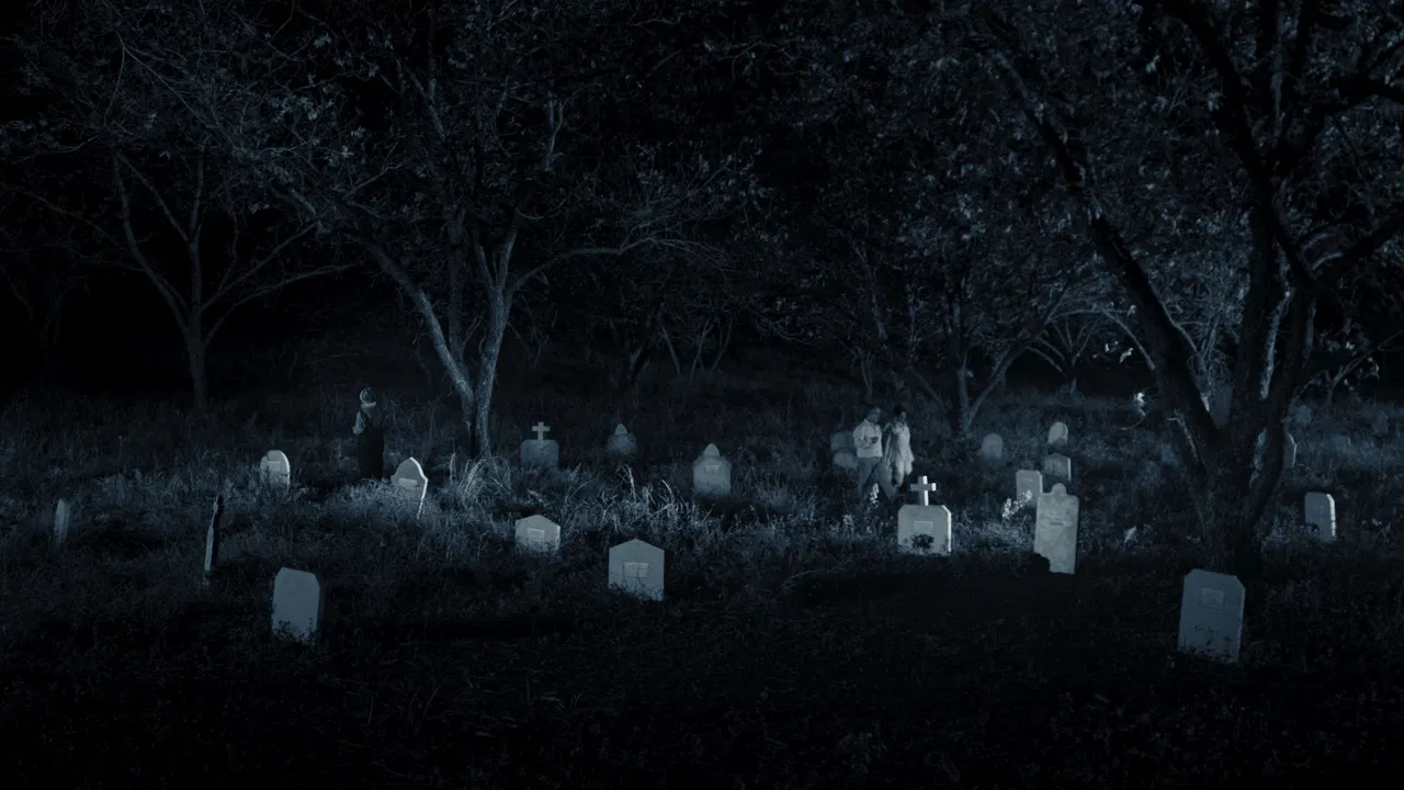 Forever Wanderers backdrop