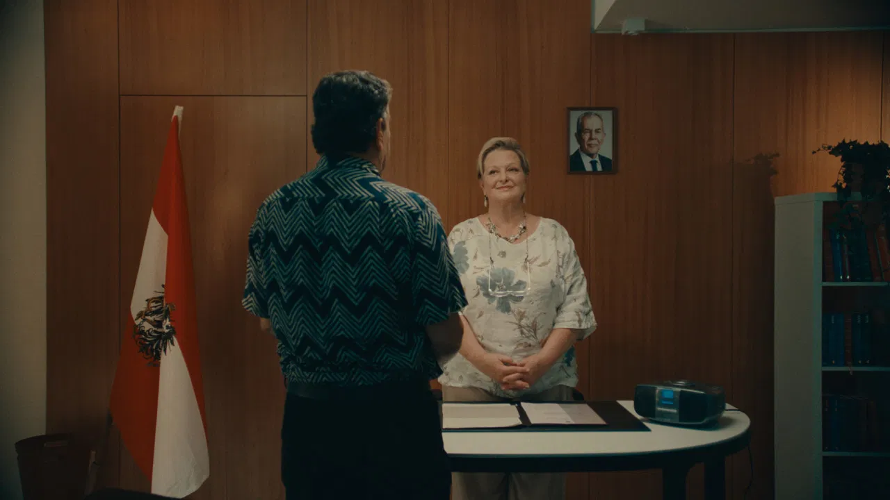 Far from Being Lipizzans backdrop