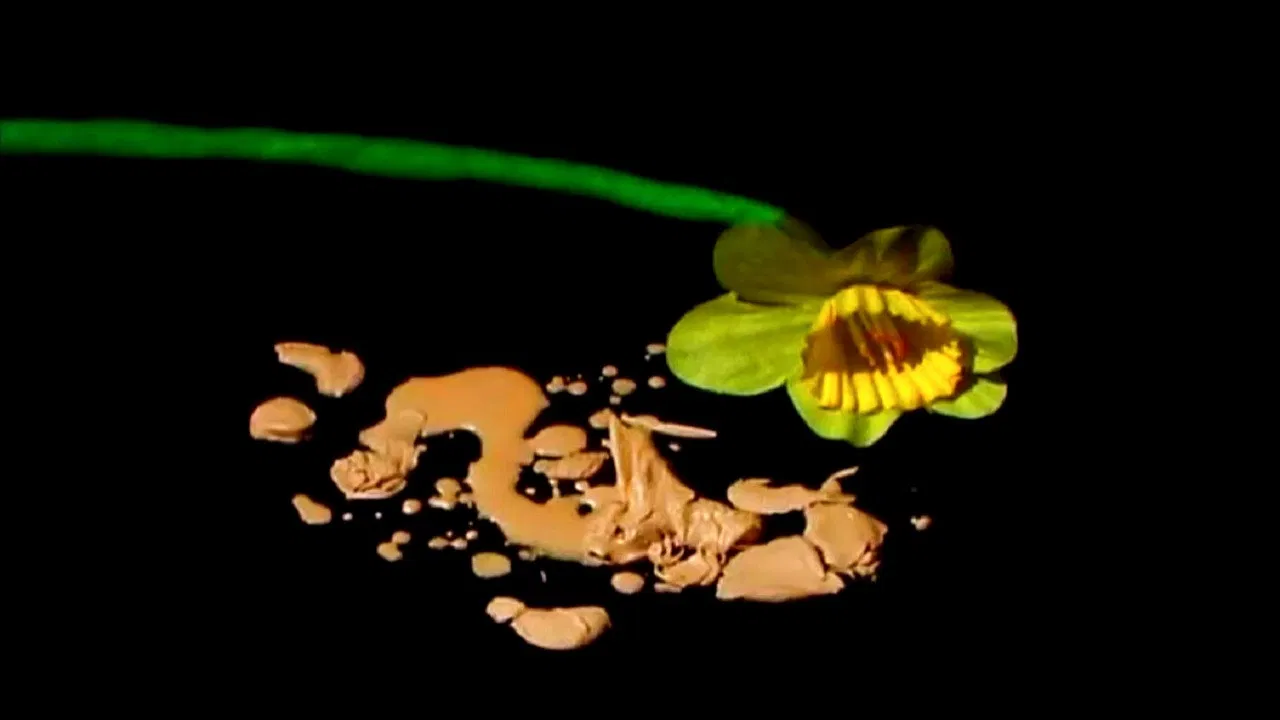 The Auton Diaries 2 backdrop