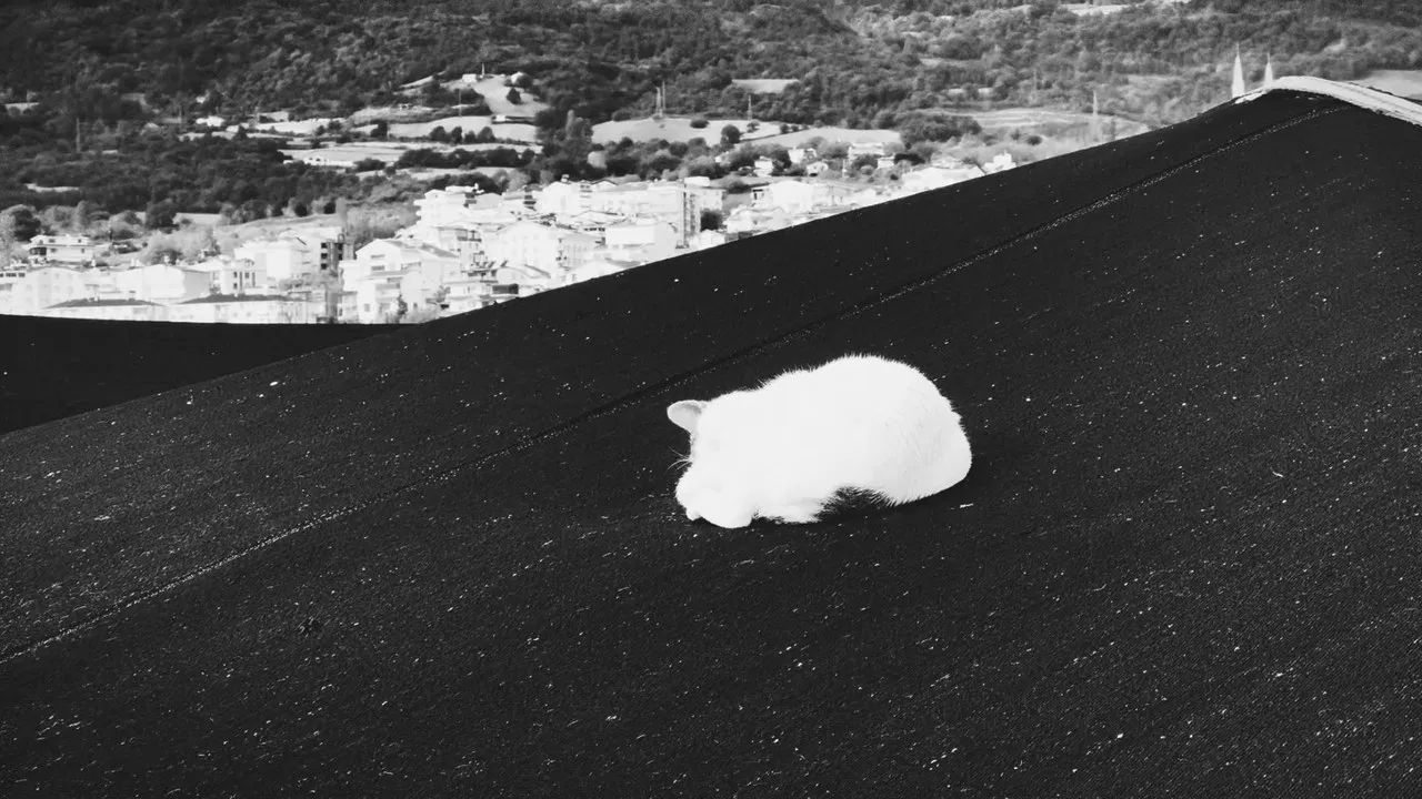 Gemi Mezarlığı backdrop