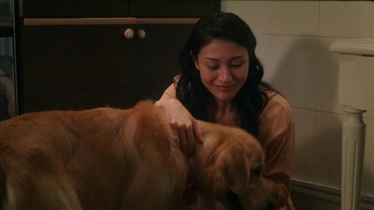 Every Dog Has His Date backdrop