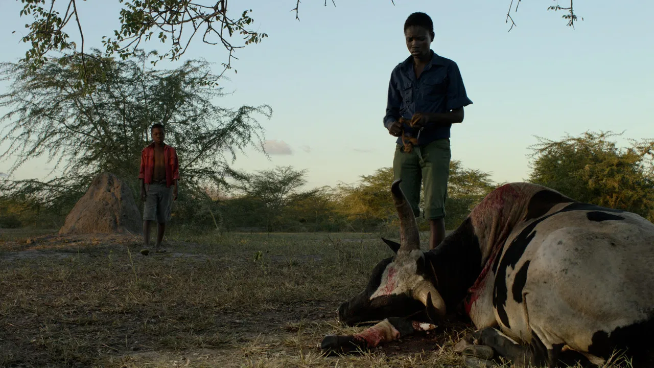 Mabata Bata backdrop