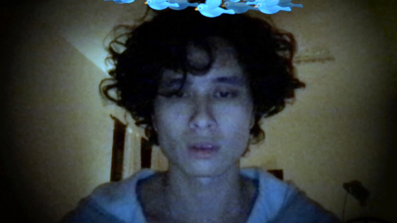 Debut, or, Objects of the Field of Debris as Currently Catalogued backdrop