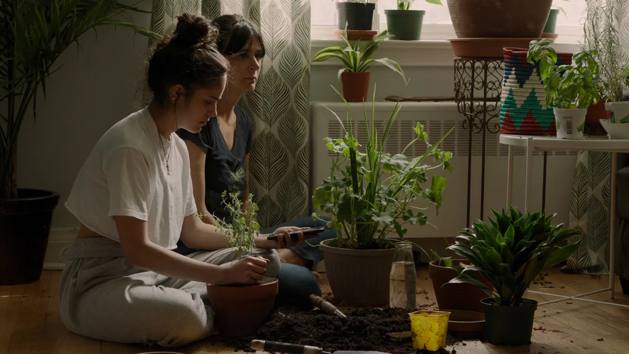 So Much Tenderness backdrop