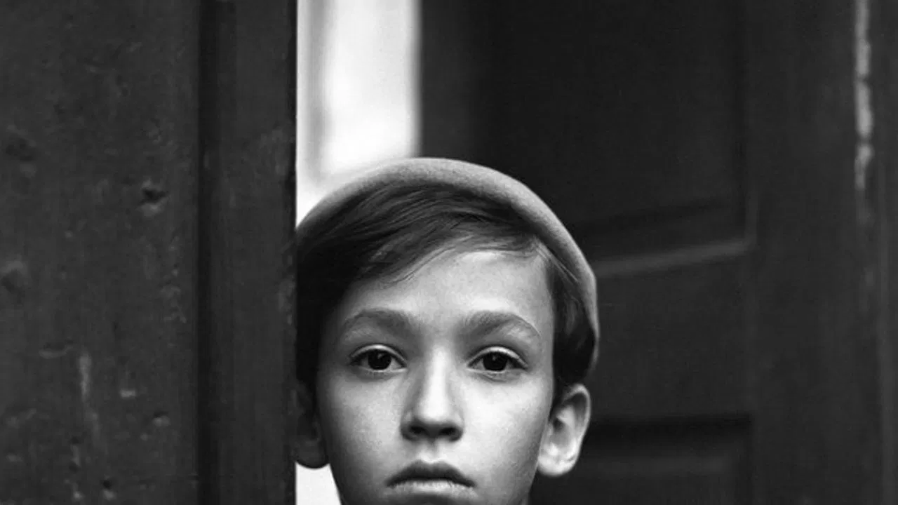 Little Chickadee backdrop