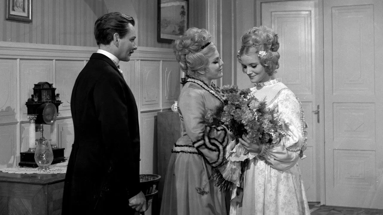 Sňatky z rozumu backdrop