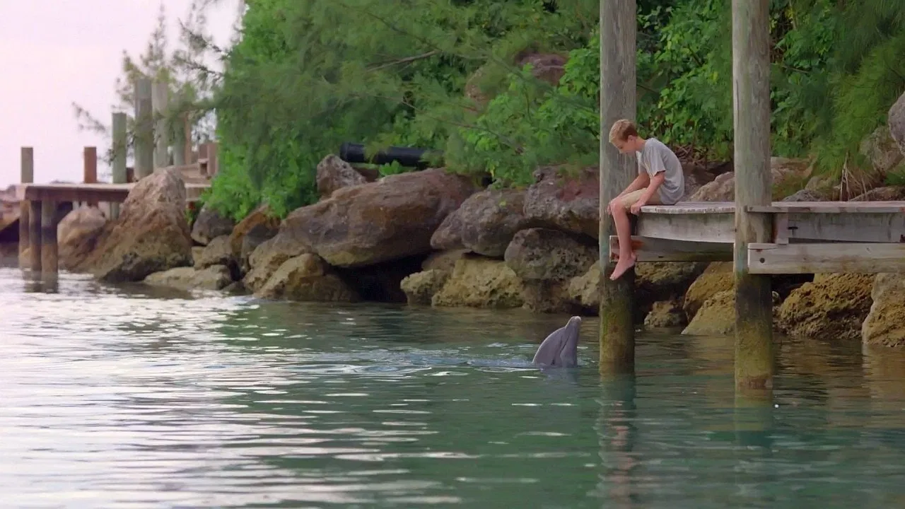 Dolphin Kick backdrop