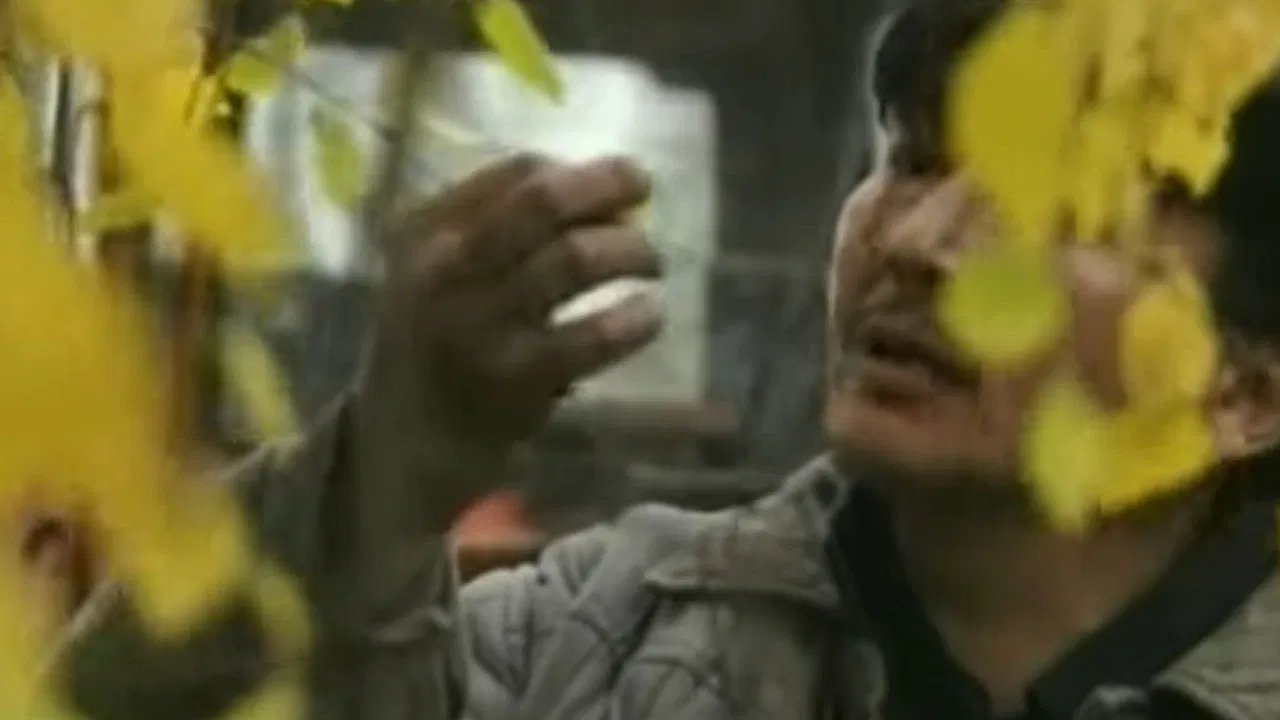 The Thread of Dreams backdrop