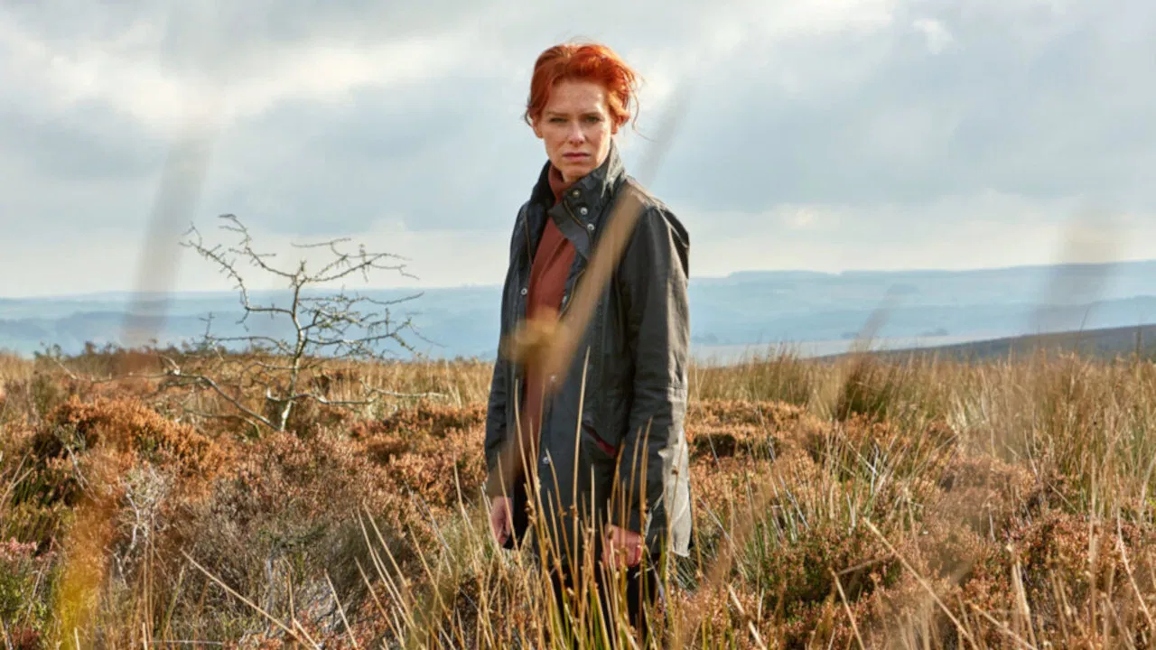 Charlotte Link - Die Suche backdrop