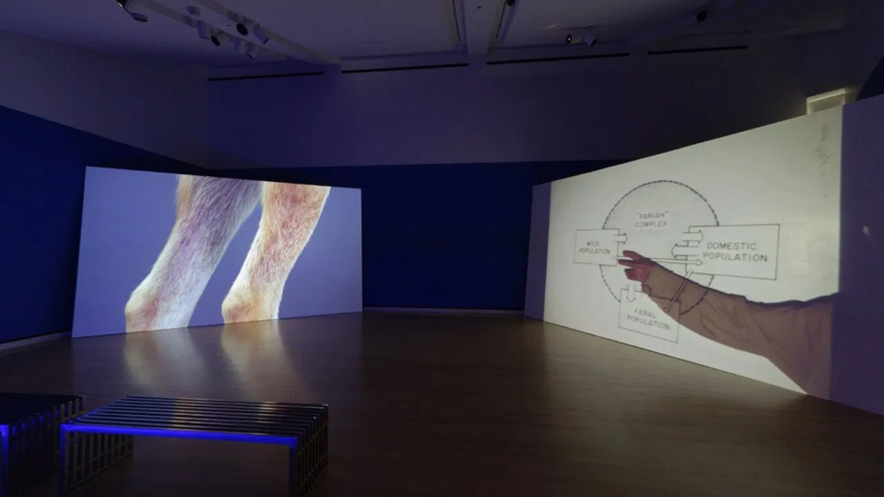 Heavy Water backdrop