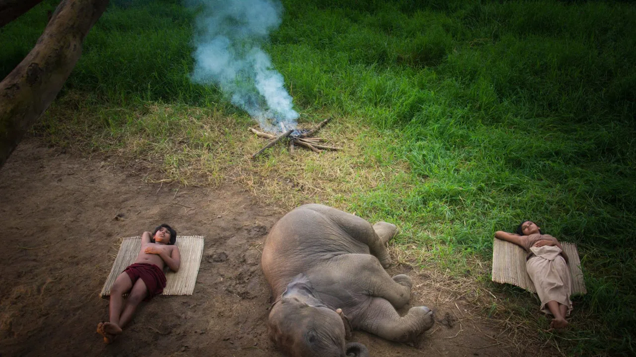 Ali Kathawa backdrop