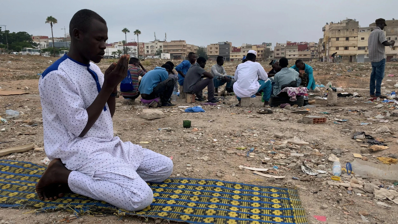 This Jungo Life backdrop