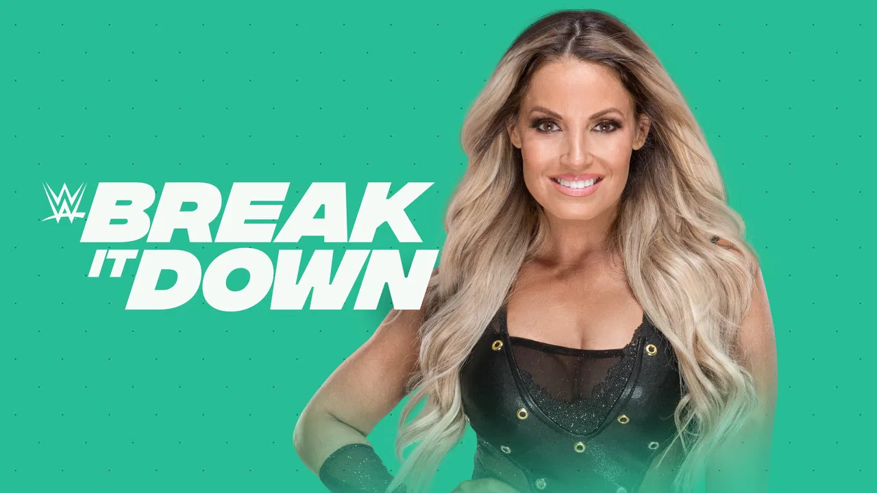WWE Break it Down backdrop