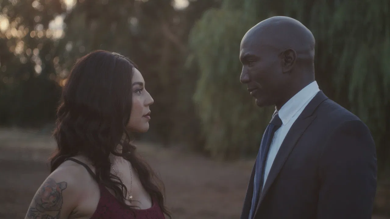 The Contrast backdrop