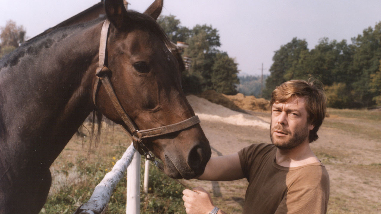 Přijeď si pro mě, tady straší backdrop