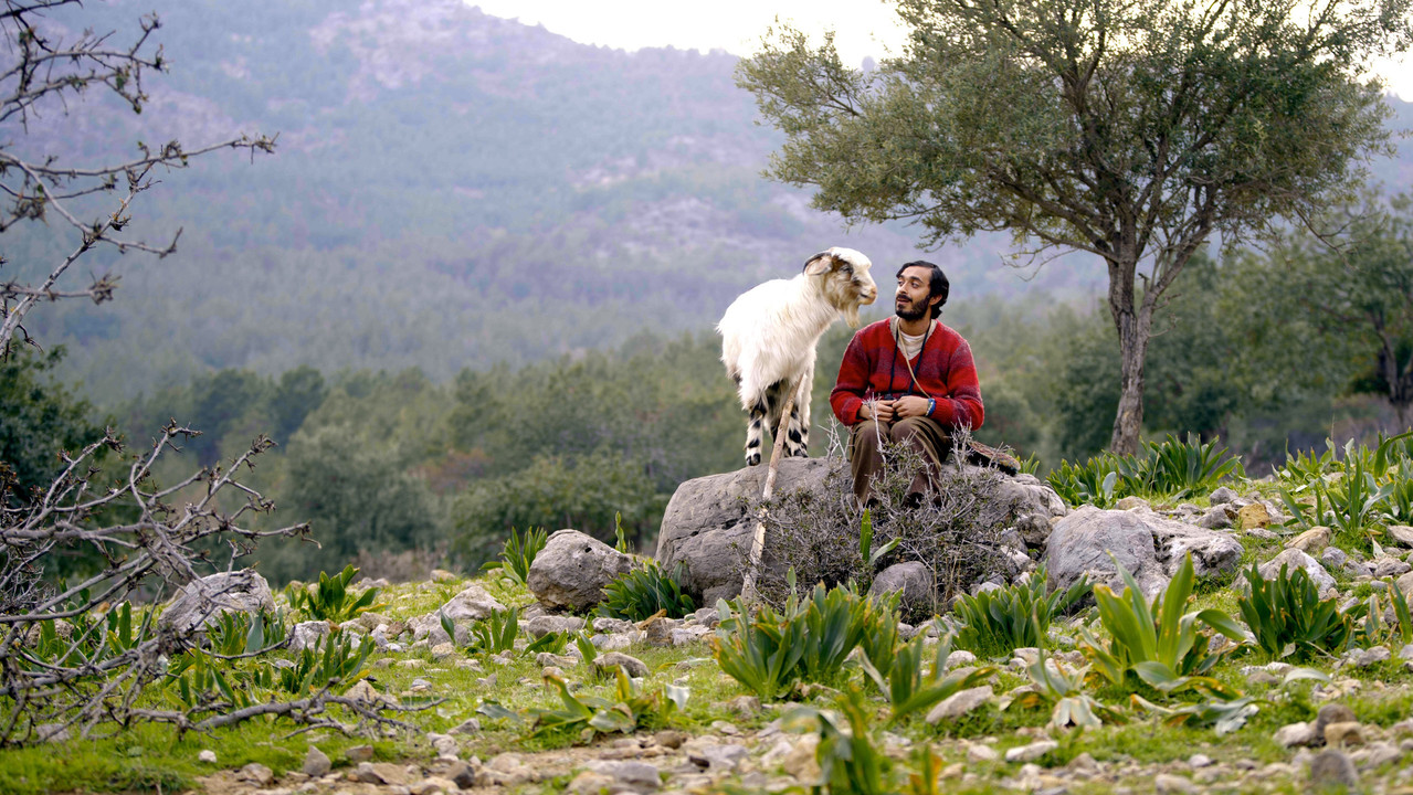 The Last Birds of Passage backdrop
