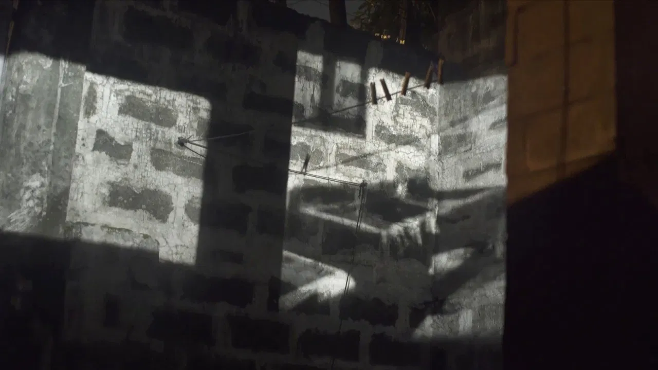 Landscape Project backdrop