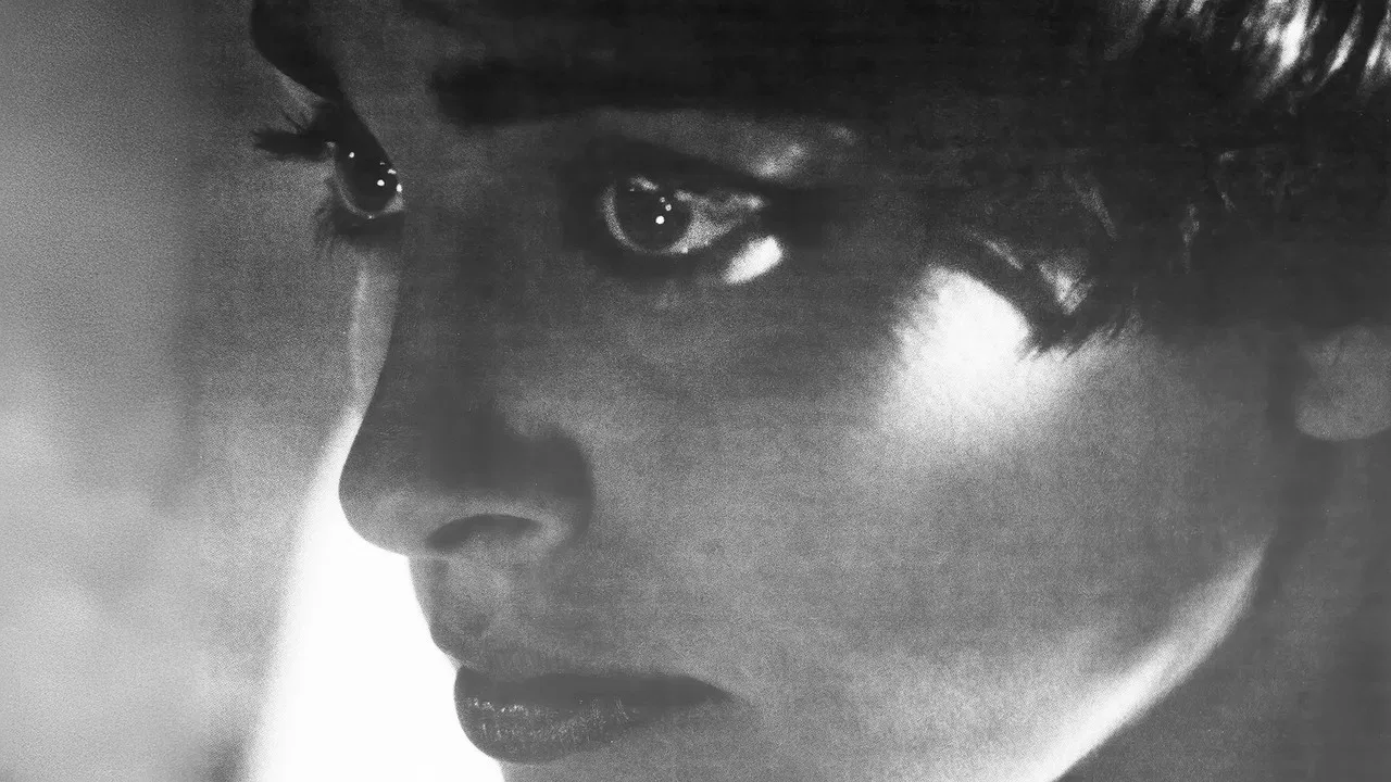 Them Public Romantics backdrop