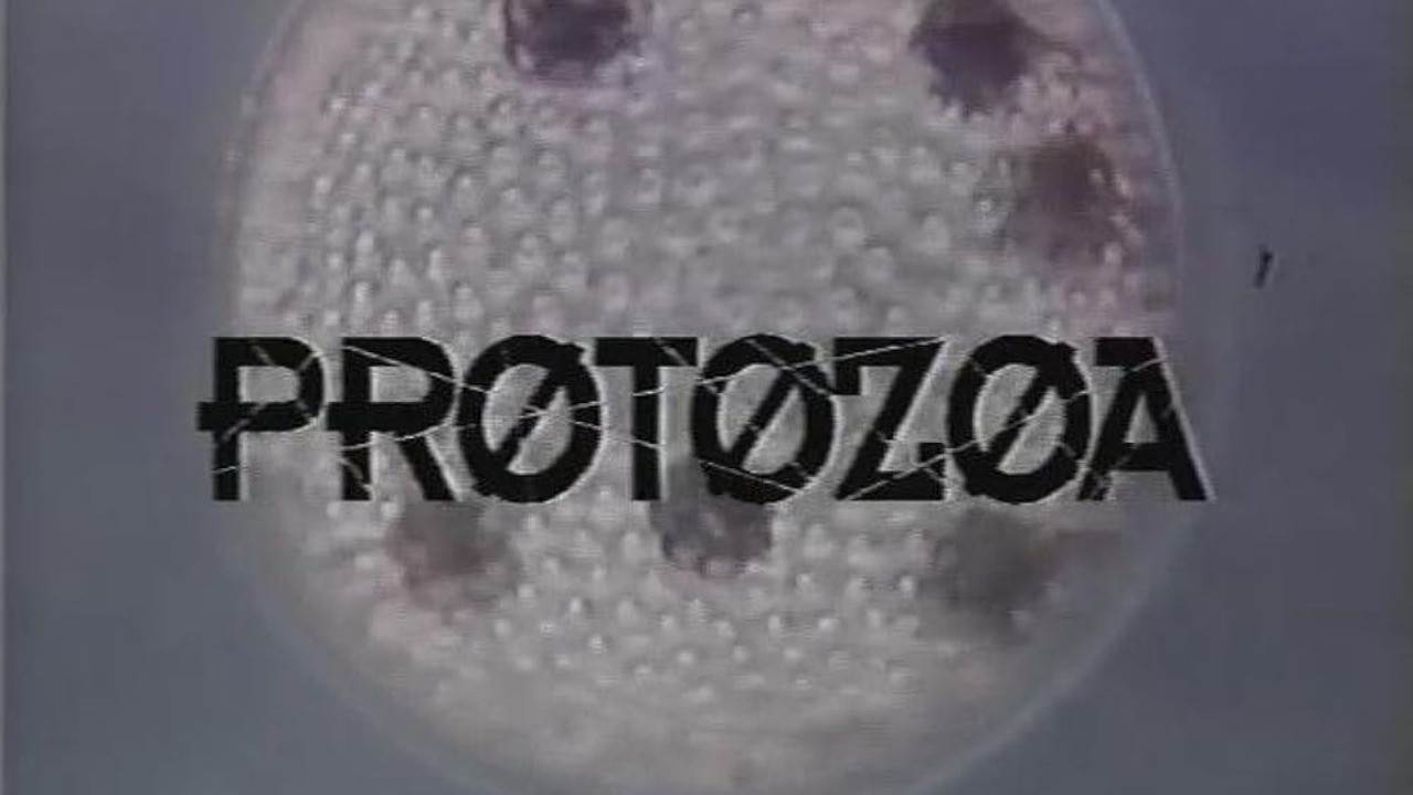 Protozoa backdrop