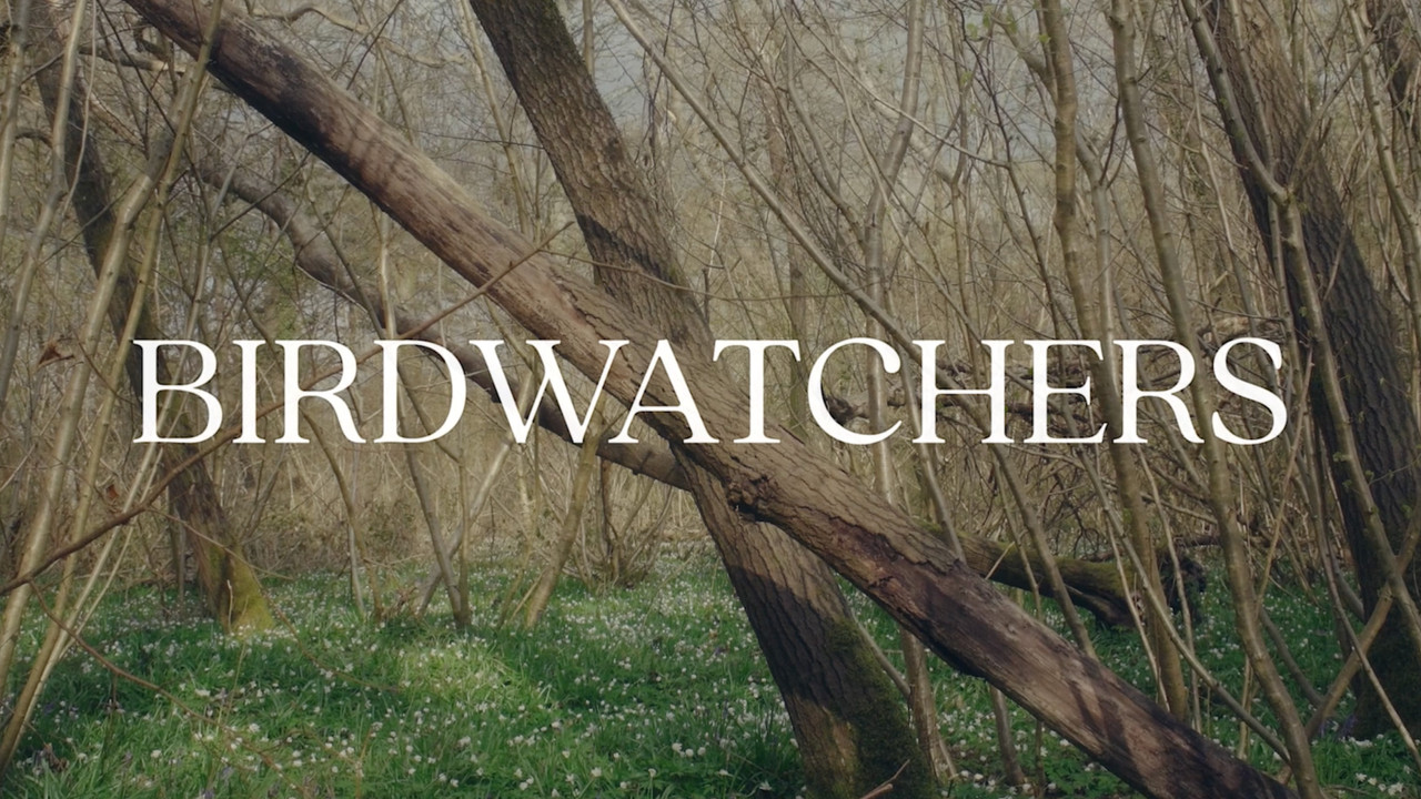 Birdwatchers backdrop