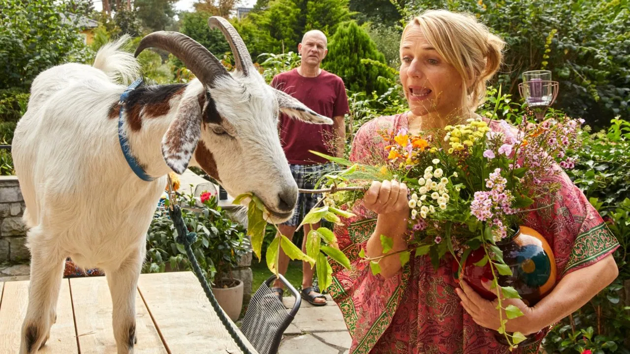 Climate Rescue for Beginners backdrop