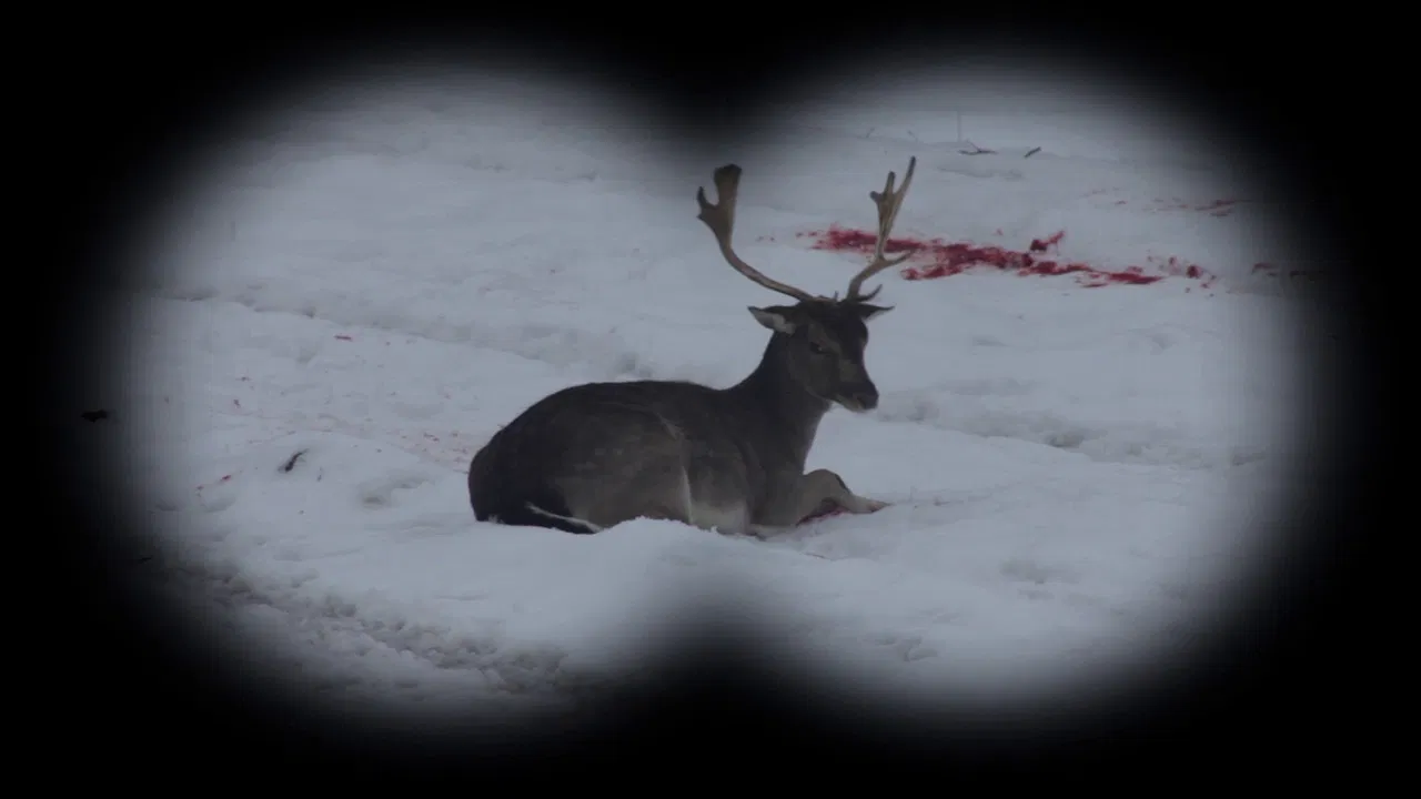 Long Live Hunting! backdrop