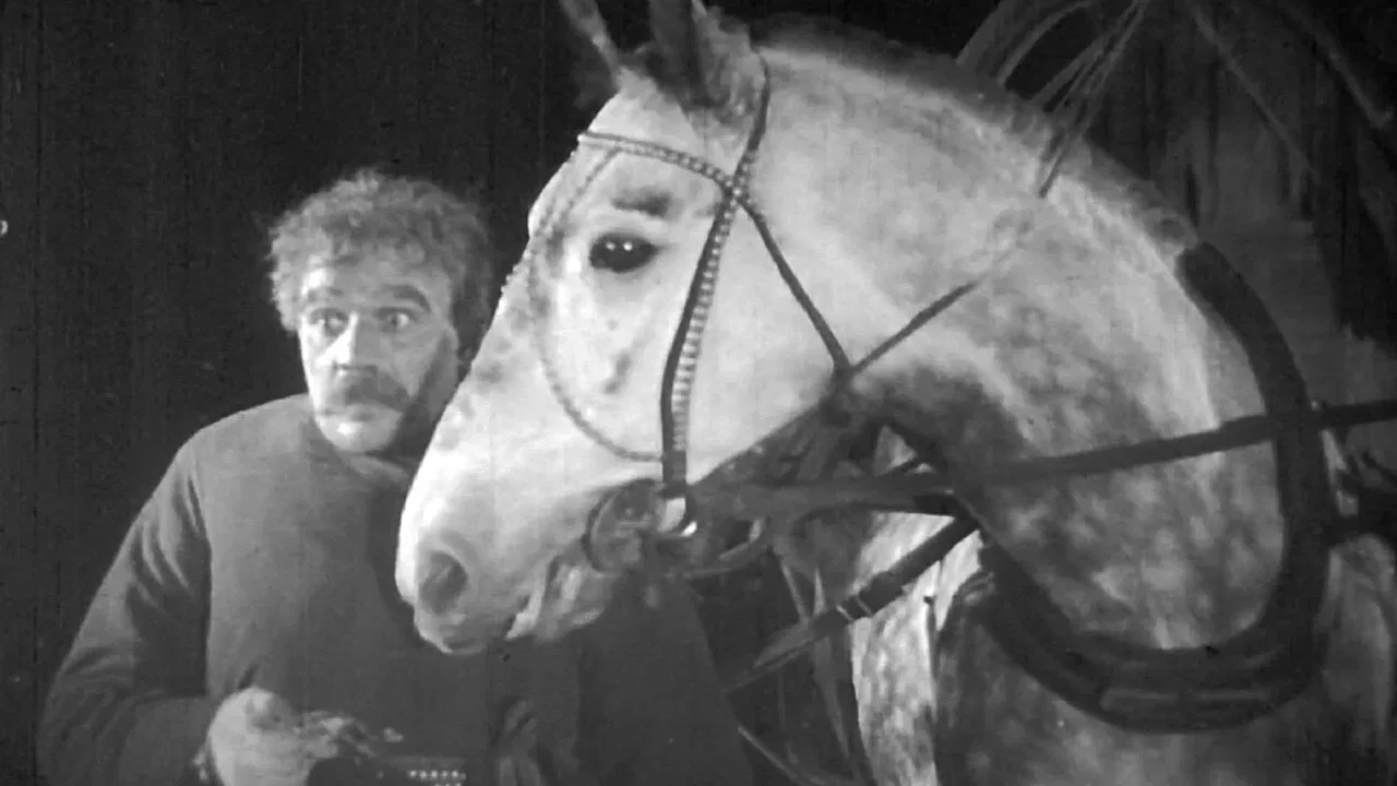 Night Coachman backdrop